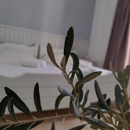 Elia Bed & Breakfast สกาลา ภายนอก รูปภาพ