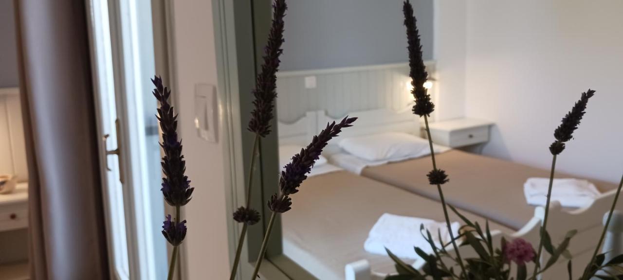 Elia Bed & Breakfast สกาลา ภายนอก รูปภาพ